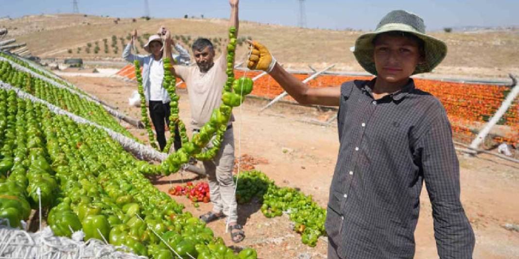 Sezon açıldı eşsiz görüntüler ortaya çıktı! Gaziantep’te lezzetin görsel şöleni: Dron ile görüntülendi… 5